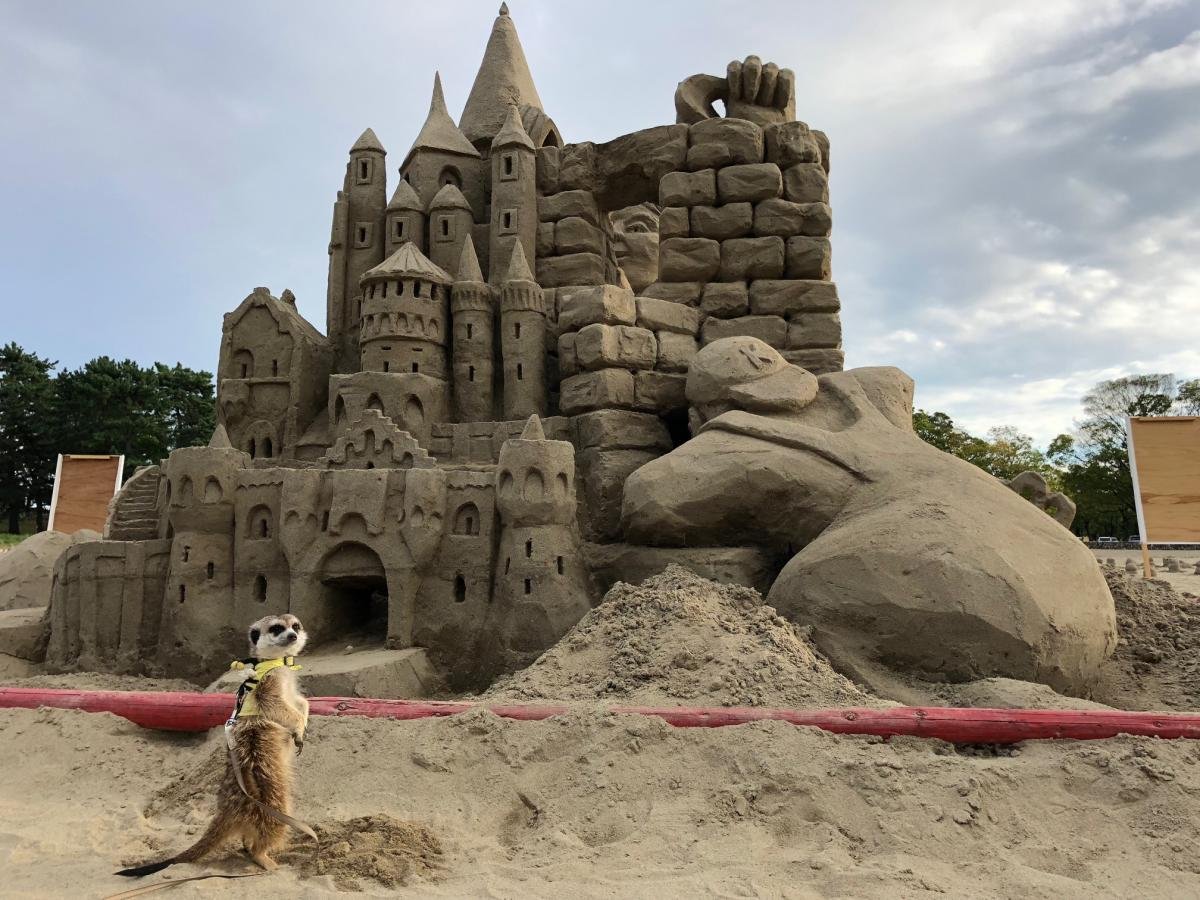 🏞️ 국영 기소산센 공원 와일드네이처 플라자(고쿠에이키소산센코엔 와이루도네이차푸라자) 이미지 9